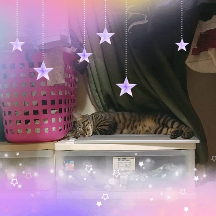 723ece68 a125 4431 8b8e 4ff802ce3914 1564450429608