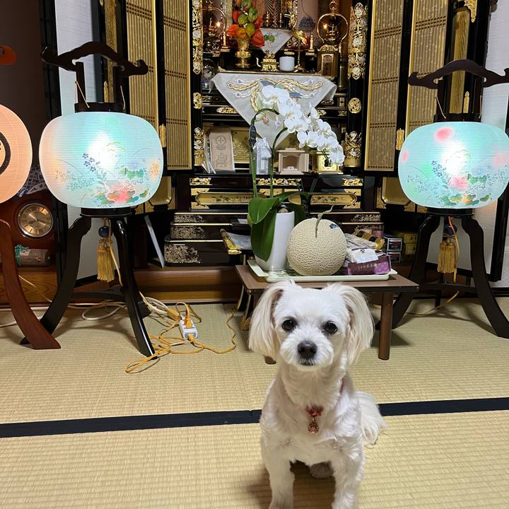 723ede72 663f 4023 8d9b 9a019f89826f 1692000906978