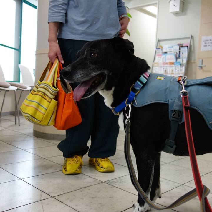 723f0c71 c650 47d8 9ea7 c0dcb51b5435 1747220162202