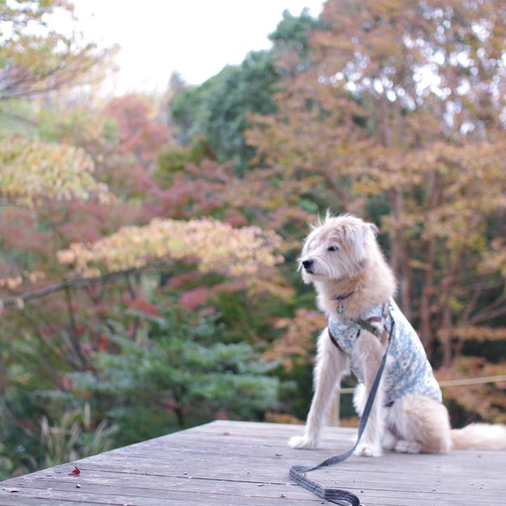 723f5126 e14c 4ef8 88a3 291cb2ee5378 1606197693585