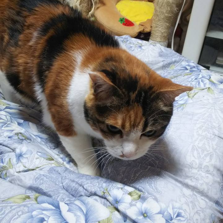 723f6576 b158 48dd 86ac 6575d7e31bfe 1553645933101