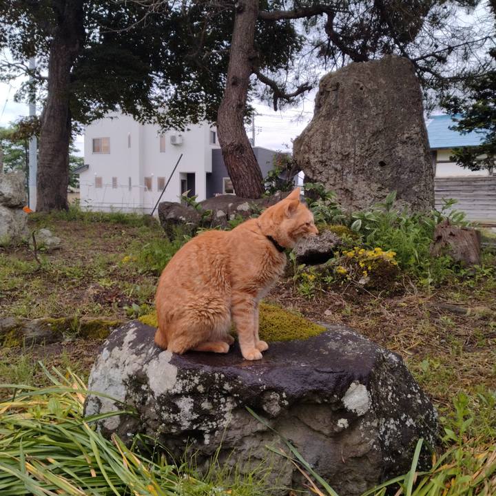 723fc1e7 8419 4f2d a2dc b8a50713ee8d 1686476962224