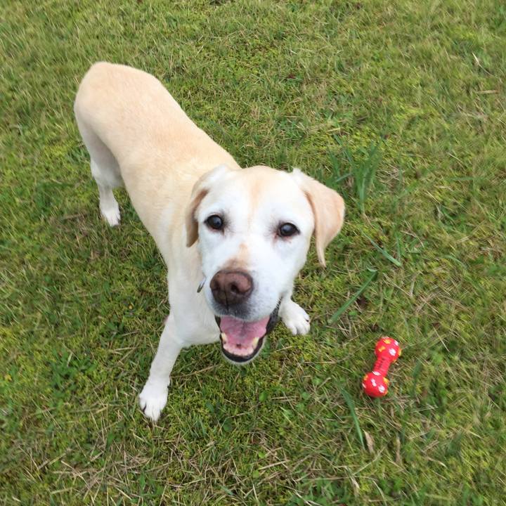 723fd1b6 4865 404d 996d a9628770c97a 1508028052872