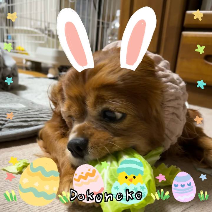 723ff5c8 0de2 43e5 b79e dd53376b1f11 1712269870915