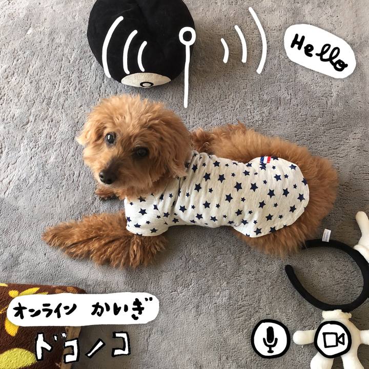 724018c2 2ef1 441f aa18 2397e37ea151 1590721579336