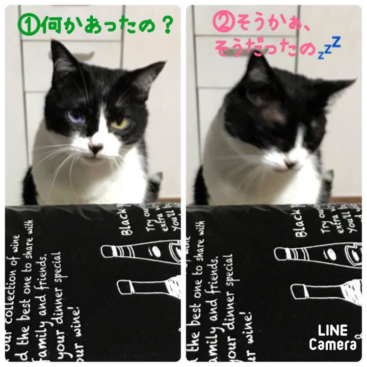 72403fc3 a2fe 448f a635 45beb73a1693 1625658543357