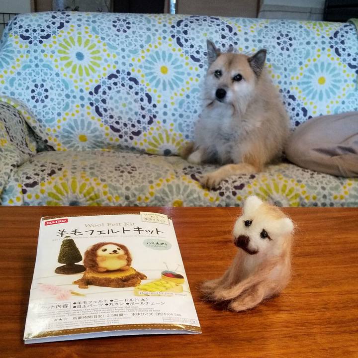 72404665 f1b5 4403 aea4 3f2117f87546 1547186924469