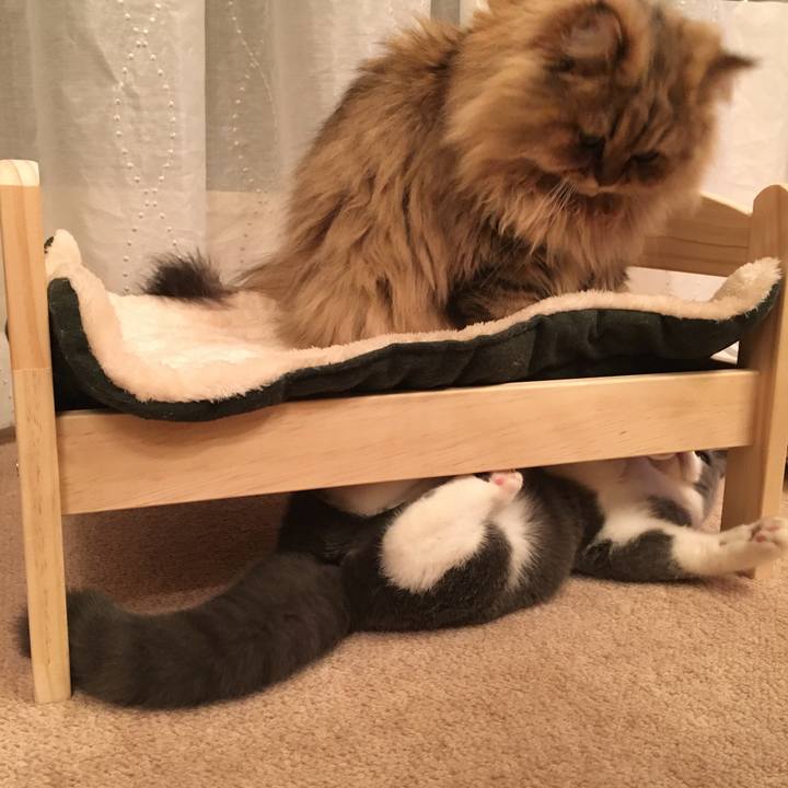 72404815 f963 4ef5 9f64 ab896ef9ac49 1509532443512