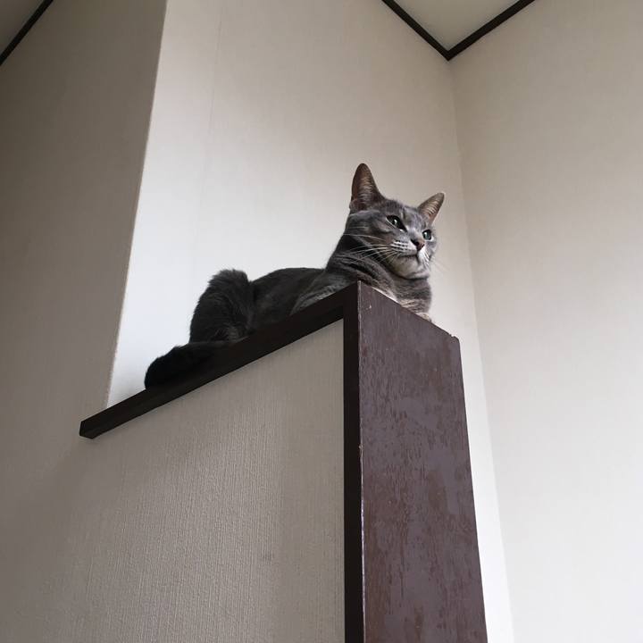 724052c2 6172 4df6 89d6 12eded7ad5e7 1593823982984