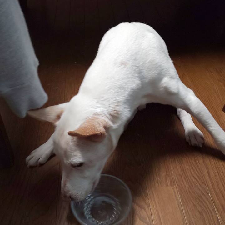 7240c450 44c3 4b76 abe8 31b845f48f83 1541805591690