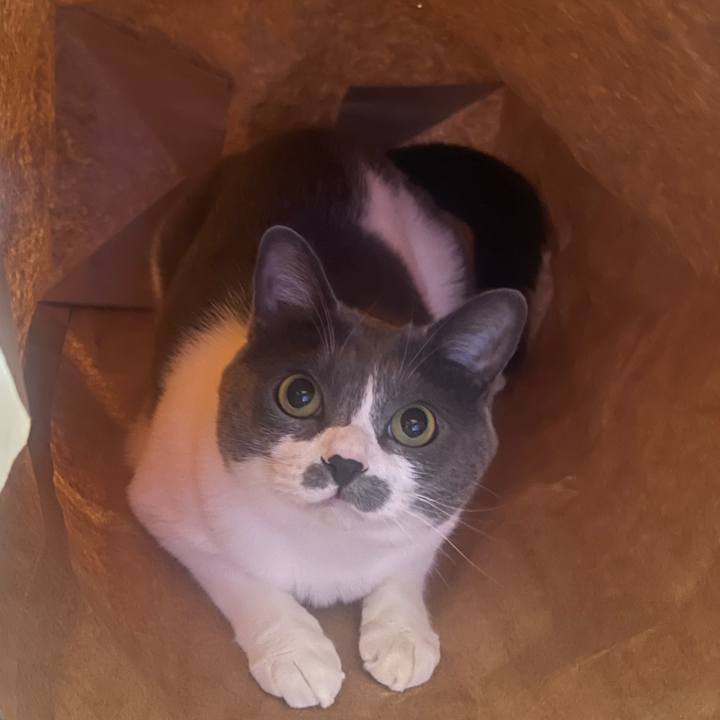 7240da61 27ec 467f a1e5 8051506584c6 1718766275970