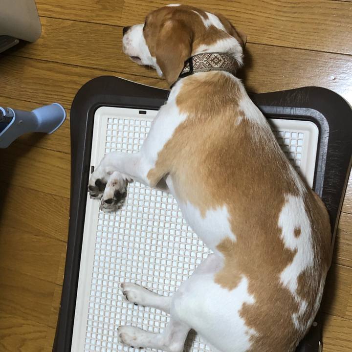 7240f1ed 14c2 4744 981b 2cba84d0edf4 1630483667365