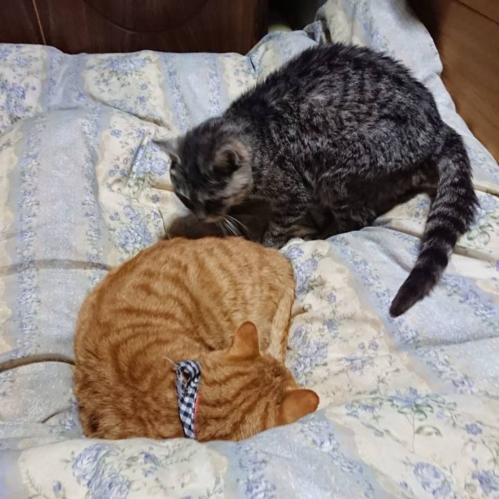 72410763 d65c 4da6 9690 28aa17966dc8 1575204907091