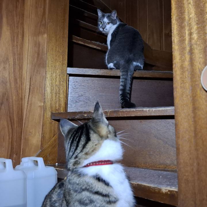 72410944 3f4e 4c9f 889a 20ec347d1c71 1737604836080