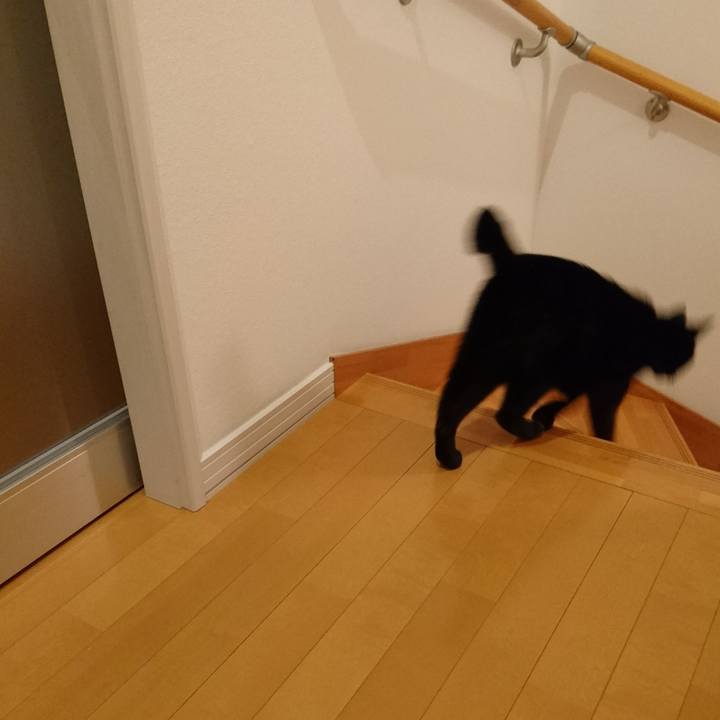 72411f25 4afd 4c9b 9c47 1239a2a73c05 1541503795316