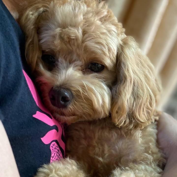 72416369 a981 406f a766 cc70290e4550 1658762027295