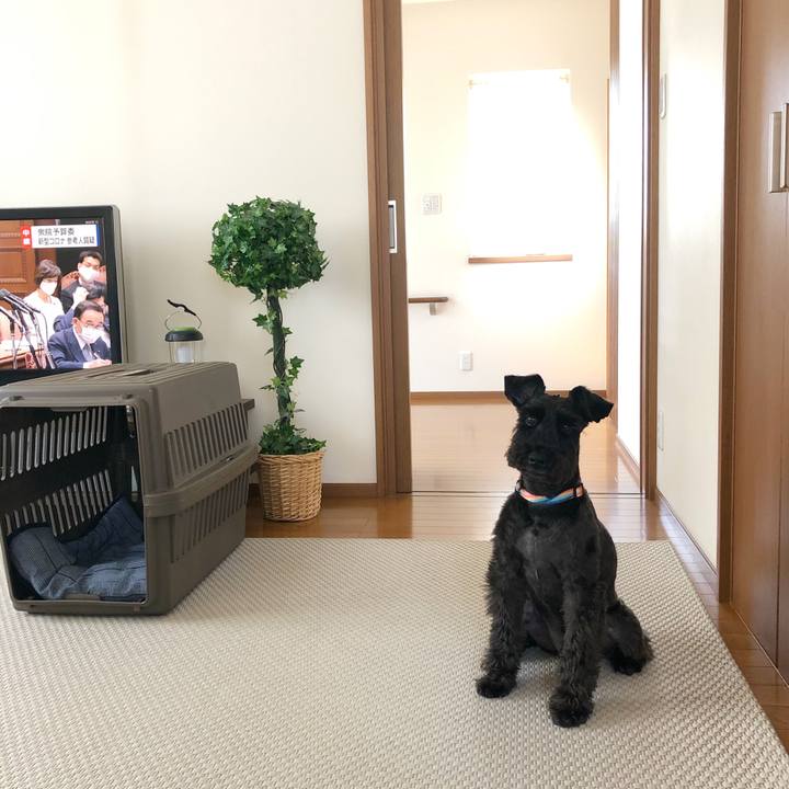 72416d6d d034 4604 af5e aef0b0f0f459 1589951316420