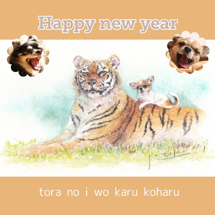 72416ea9 7ca8 4a98 a066 dad25f25277b 1641001748834