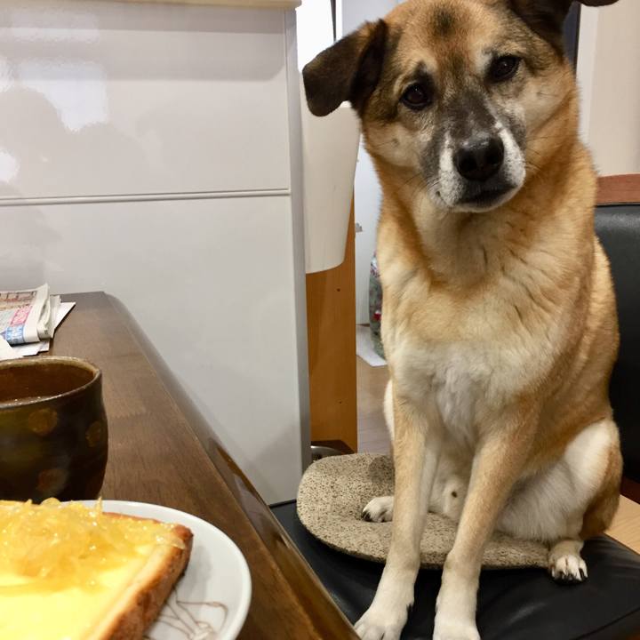 7241866d 27e9 4420 a2bd 9a256dfb2115 1519517988924