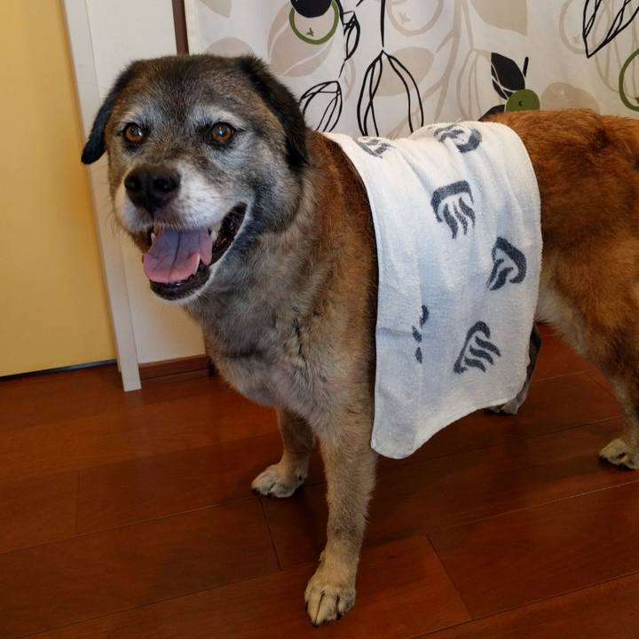 7241991f 0d94 464c 8719 8694a6d5ea42 1531183567502