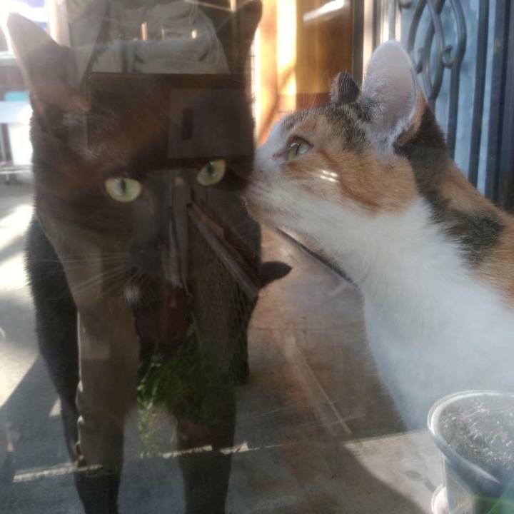 7241edd2 8aba 4b79 aa2e b42c1f8c744a 1572348690996