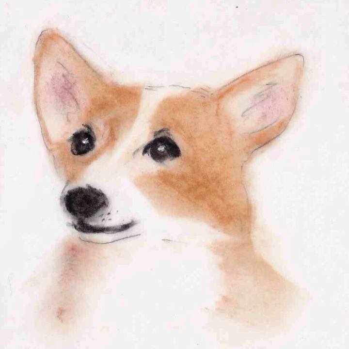 7241f644 5b1e 488f 8111 ca88725b8154 1634000932313