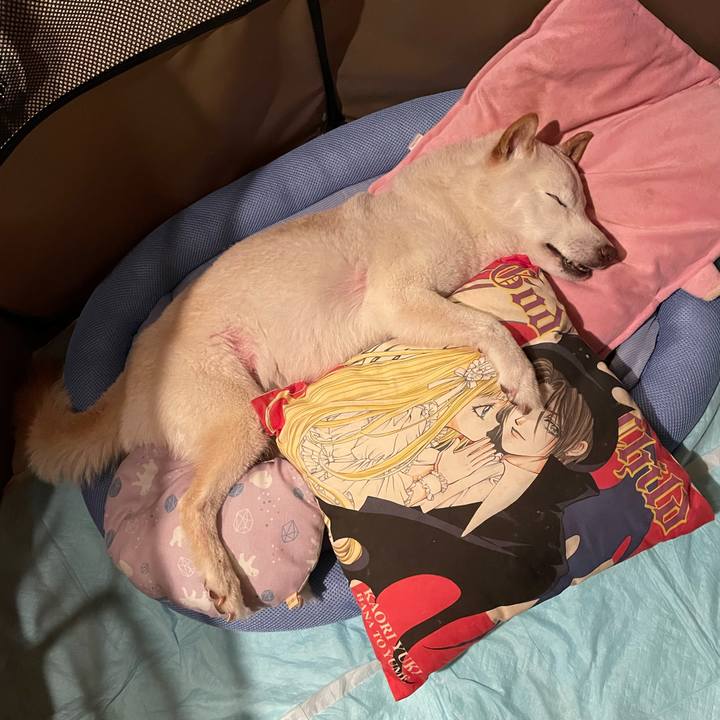 72421d36 a785 4e97 a65e 5d4cd6c035f1 1656252806861