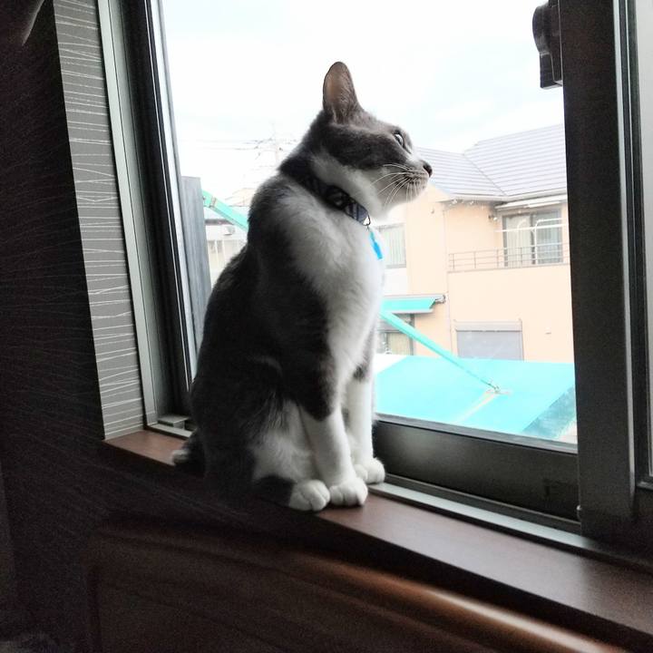 724244af d1bc 4d9f baa3 e4c3156a5209 1616362726931