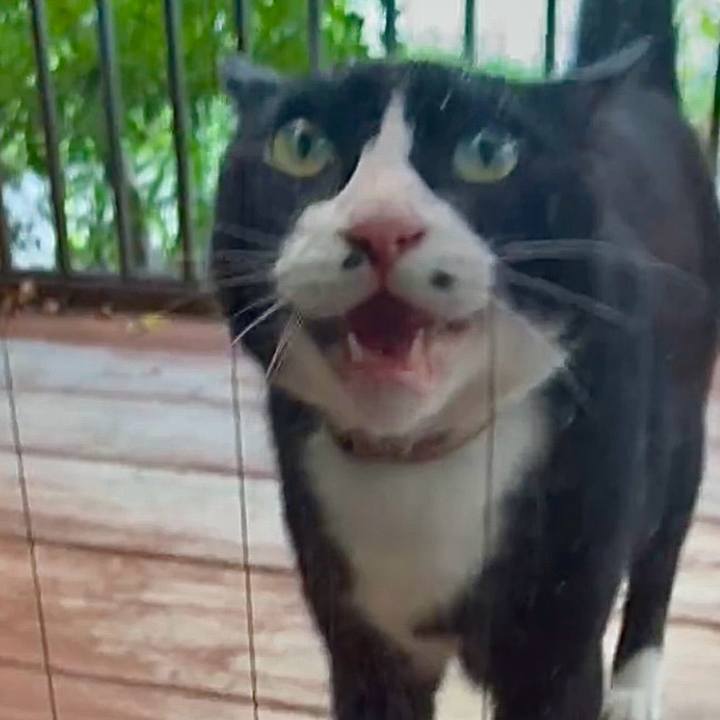 72424526 52a9 4252 b9dc 2e5388a3aa02 1751803182252