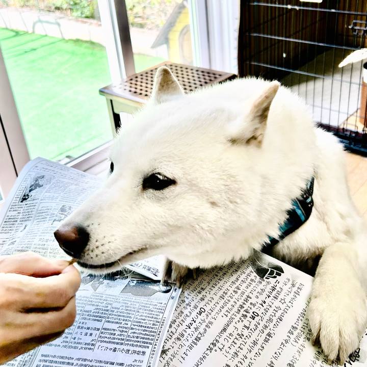 724257a8 060f 40bb 9bb6 5b78311458a9 1682382899214