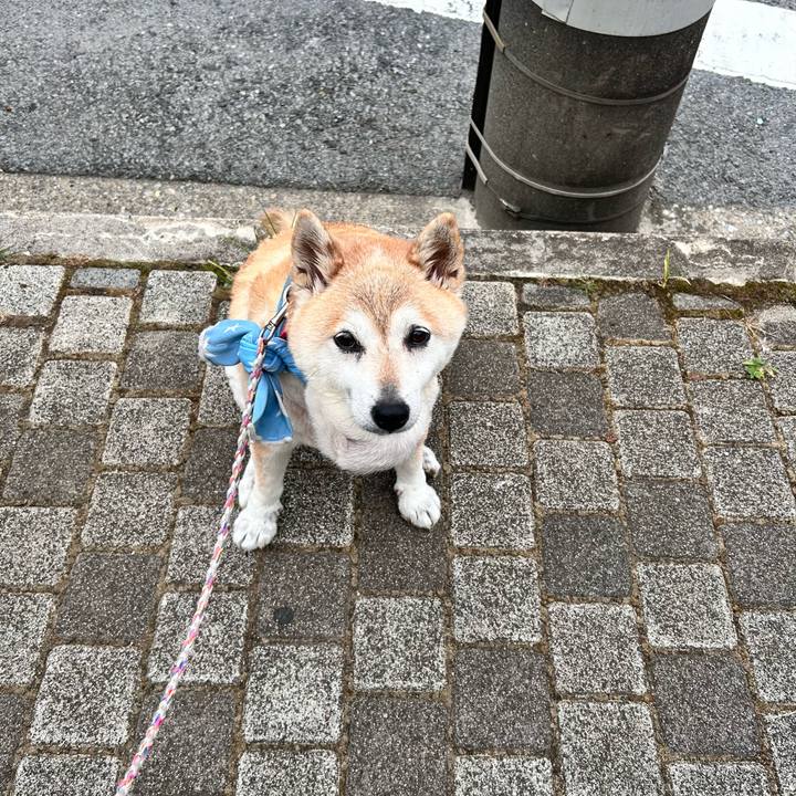 724257f7 faa1 4ca8 afe1 b11cc40bbad2 1752232885083