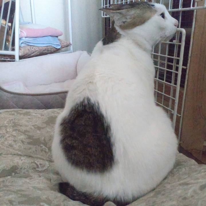 72428314 d94e 4af5 98cb eb90e96dfc04 1735518173879