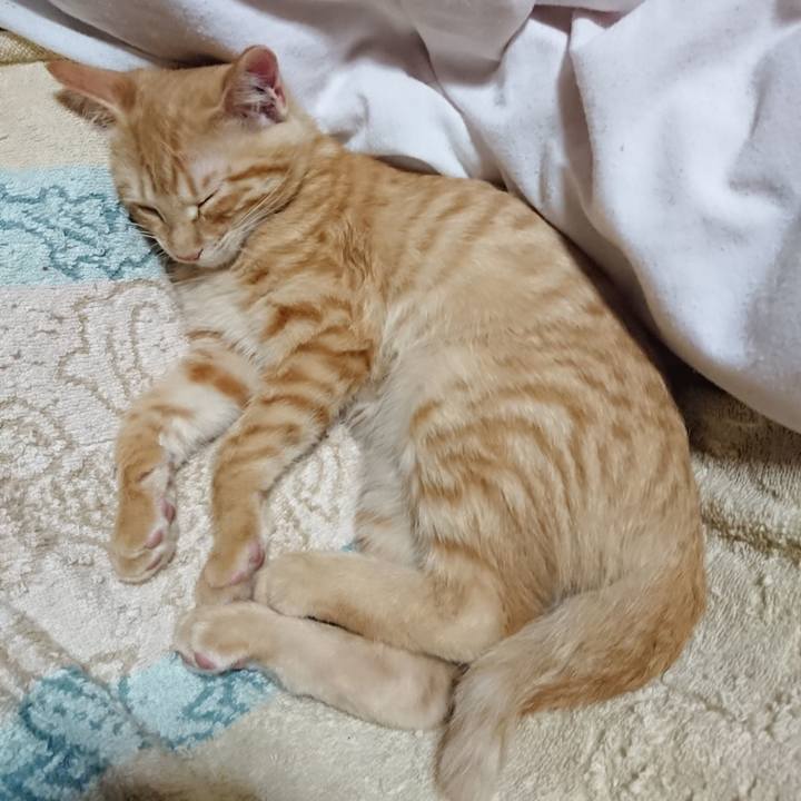 724284a6 11f1 48d9 b577 36d628498755 1633349322401