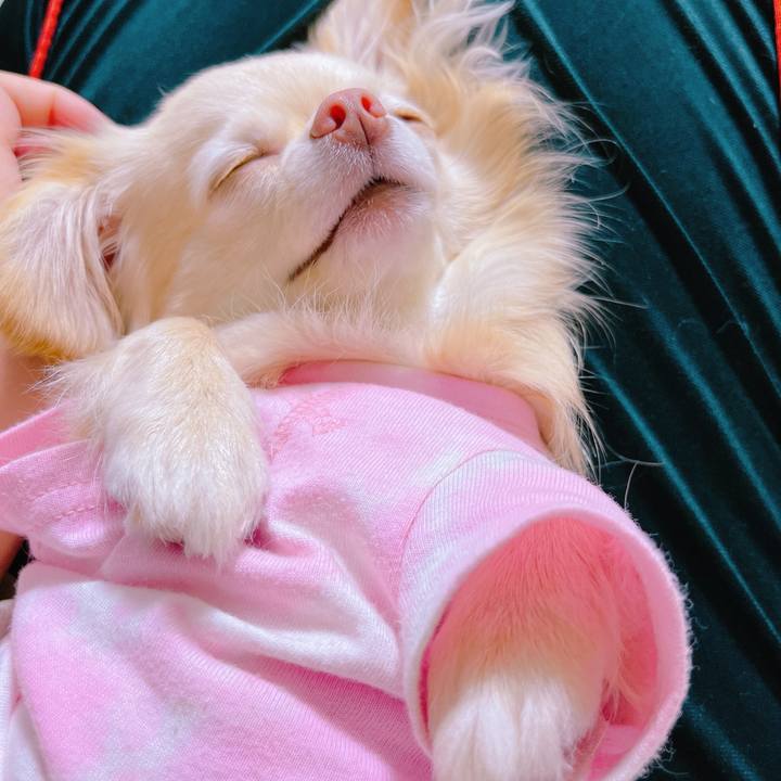 7242c7cb f85d 405b 887e 724e157205ea 1651406596856