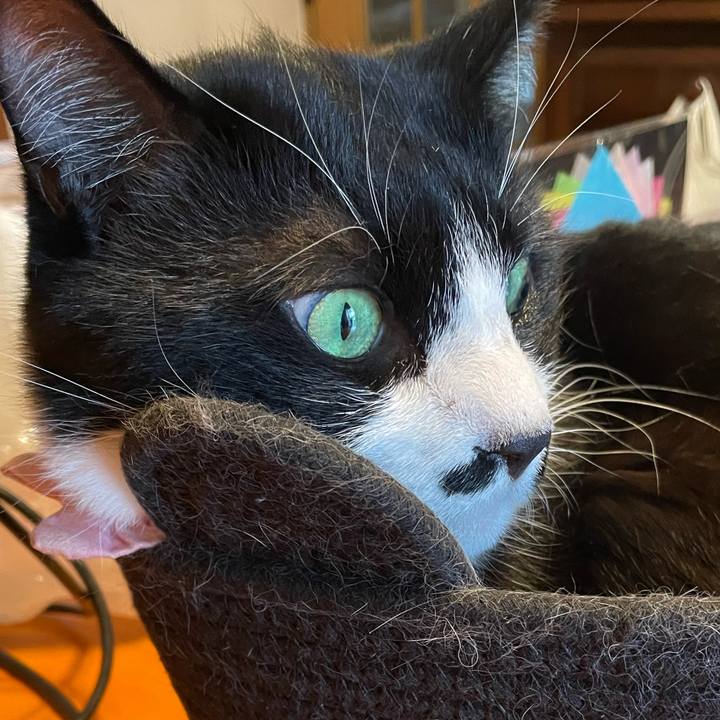 724302f4 12cb 488d a024 7be4a3e11436 1750729033503