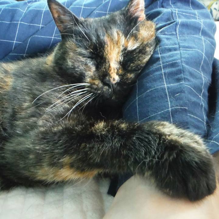 724326b2 1dc8 4fbb a6cd 966b4b90e959 1563754498910