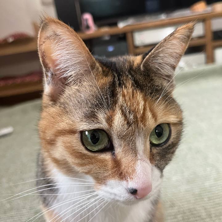 72432bdf 50b5 4695 8529 2b40afb470c4 1706326061948