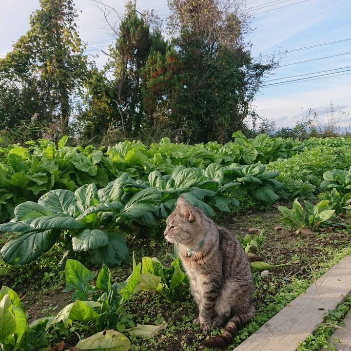 72434ef3 38fc 49fd 8645 d882d76a66c9 1572763711445