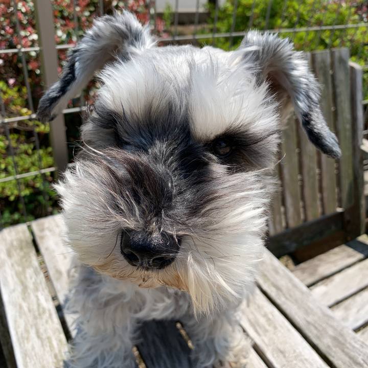 72436507 1c9e 4d33 b266 e4fd4eb0075c 1587784911487