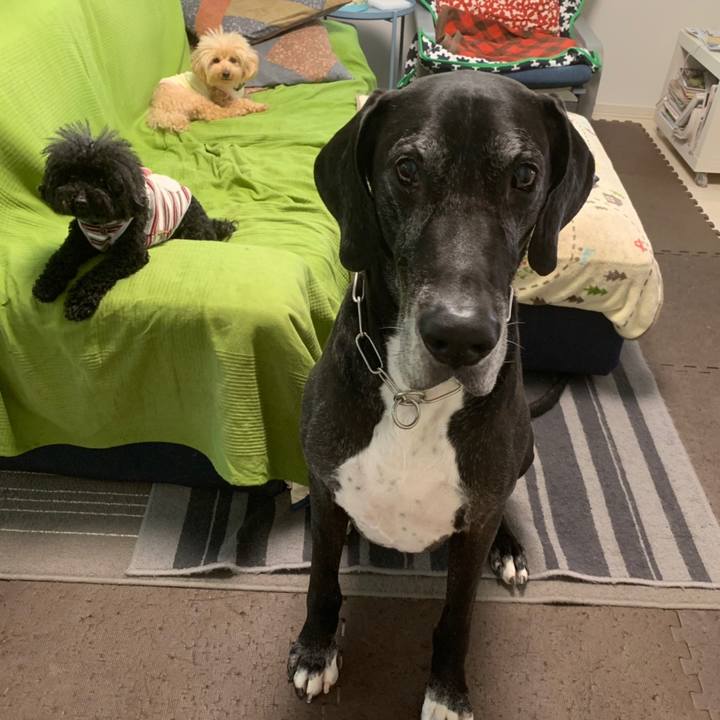 7243bae6 f486 41ff 82c4 b3055e7858e4 1558478120331