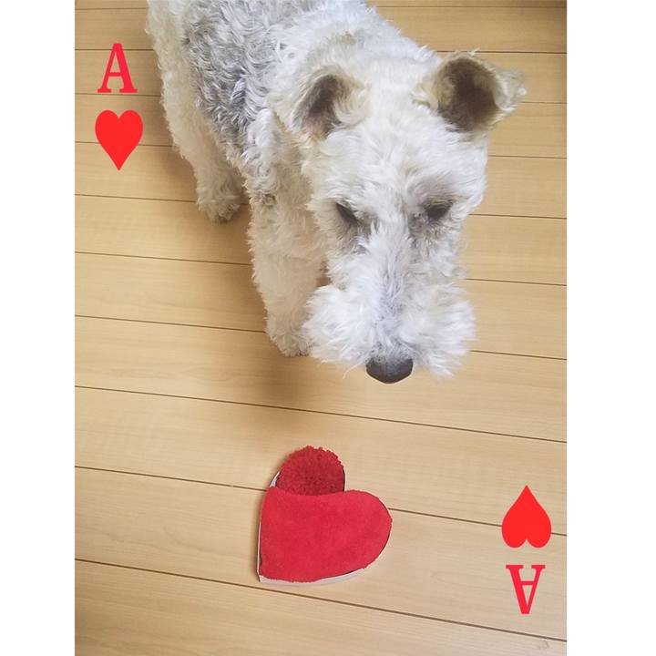 7243c43f f62b 4437 9875 19ea2be8319d 1739486704234