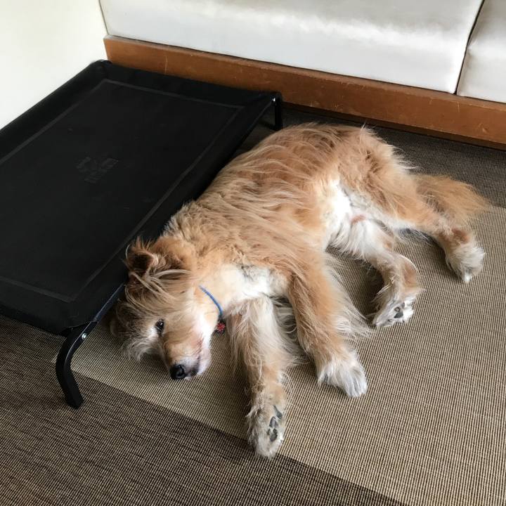 7243dd53 7c88 4630 8918 38f8c62af373 1592294766721