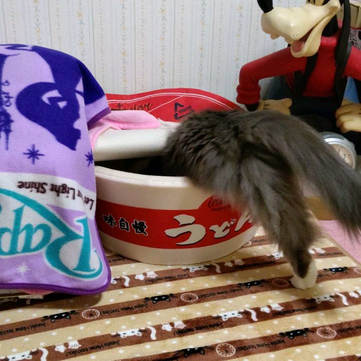 7243fb22 0c5d 4ea5 a0c1 08f021d9bd36 1616316535762