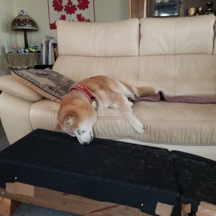 72441728 cf7f 4599 9564 adf95c8f63dc 1754798800689