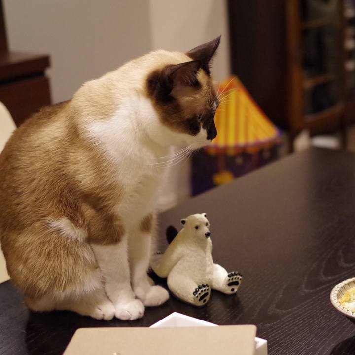 7244a1d9 bc28 4434 915d 1533c8c0ec55 1541932665100