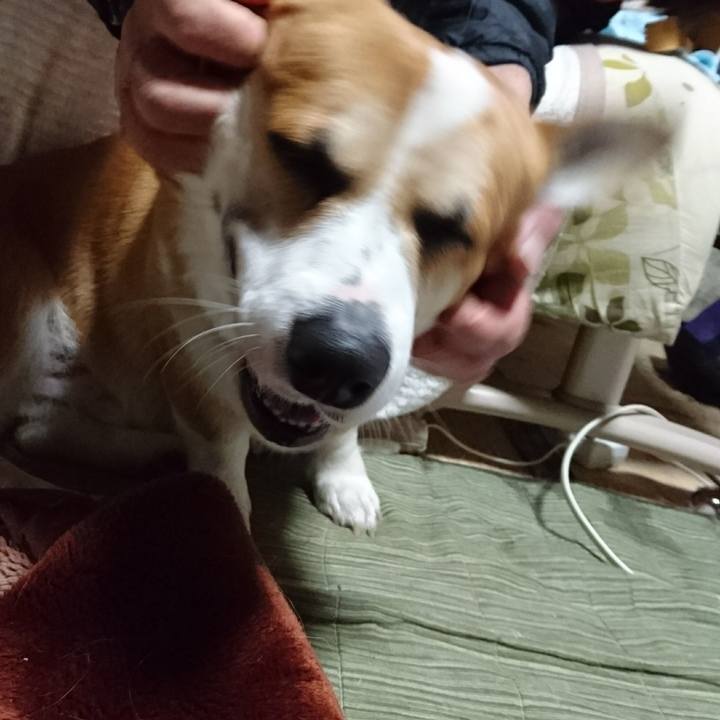 7244ecd5 2b0a 490b b188 abd77f21a792 1606781412581