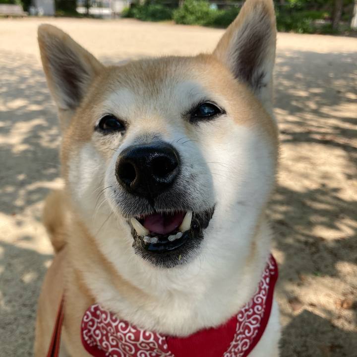 724527ed 757d 4dc3 af6b b161a7aa381f 1619012936464