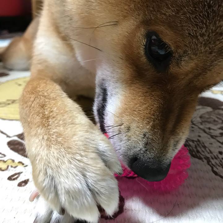 72452adb 3489 4baa ba56 f2cdf53950a2 1536399845470