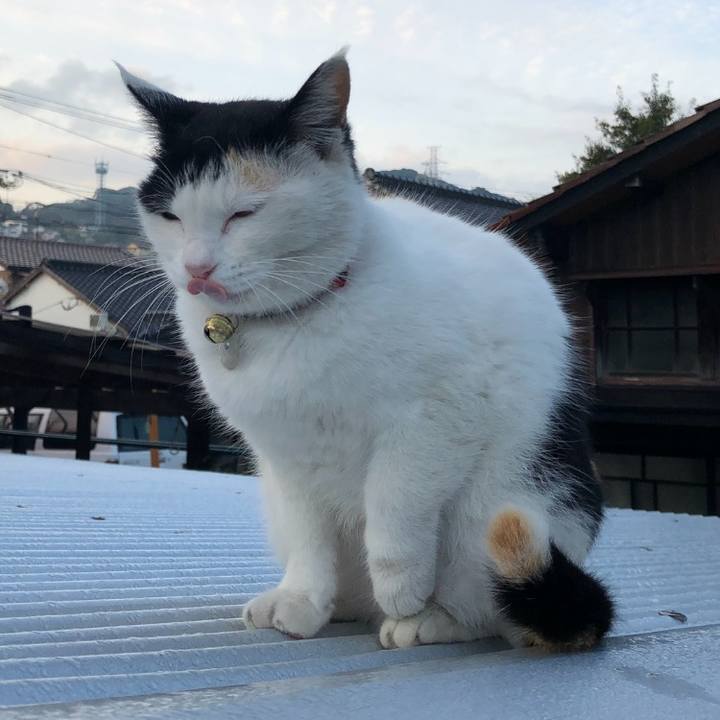 72453f5a e0f7 4517 a689 abbb14cb38c4 1615807105568