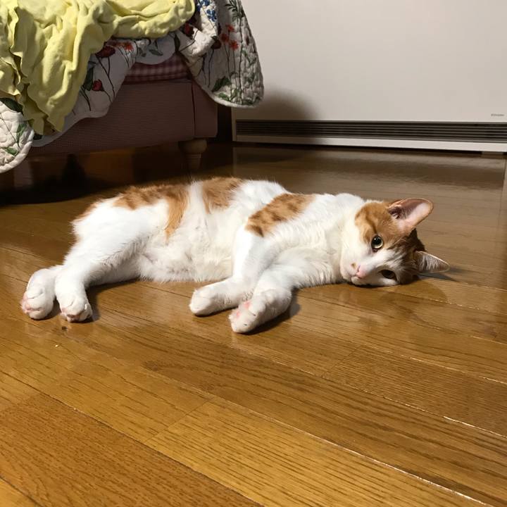 724556e2 98aa 47c7 82c9 6d3c0a557a95 1556715192222